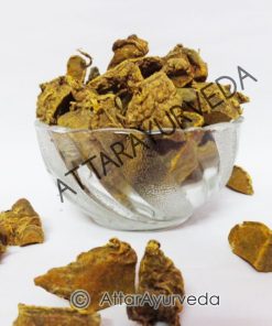 Amba Haldi - Ban Haldi - Curcuma Aromatica