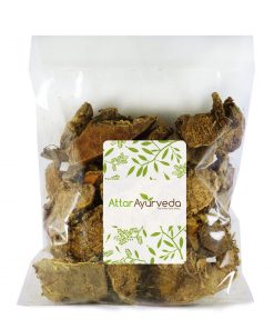Amba Haldi - Ban Haldi - Curcuma Aromatica