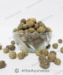 Majuphal - Manjakani - Gall Oak - Quercus Infectoria