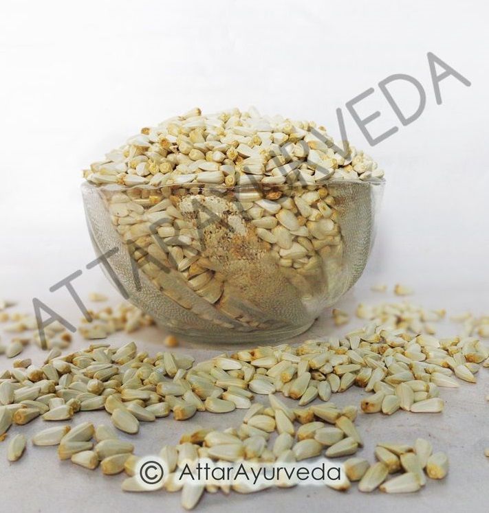 Safflower Seed - Kardi Seed - Kusumbh - Carthamus Tinctorius