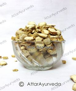Kapoor Kachri - Ginger Lily - Hedychium Spicatum