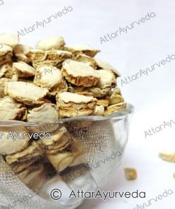 Kapoor Kachri - Ginger Lily - Hedychium Spicatum