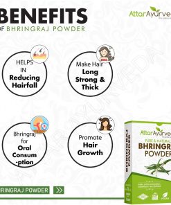 Bhringraj for Hair growth and eating - Eclipta Alba - False Daisy