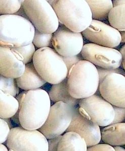 Kaunch Seeds - Kavach Beej - Mucuna Pruriens (White)