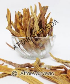 Nepali Shatavari - Asparagus Racemosus