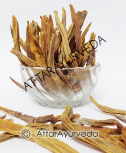Nepali Shatavari - Asparagus Racemosus