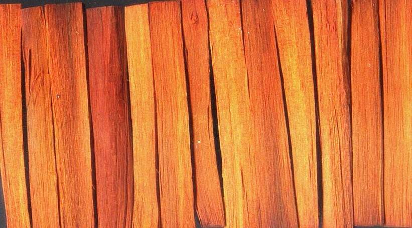 Sappan Wood - Brazil Wood - Pathimugam - Caesalpinia Sappan