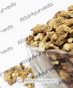 Pippali mool - Long pepper Root - Piper Longum
