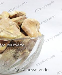 Singhara (Dried) - Water Chestnut - Trapa Bispinosa