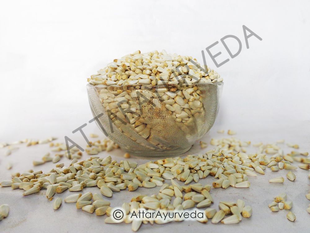 Safflower Seed Kardi Seed Kusumbh Carthamus Tinctorius Attar Ayurveda