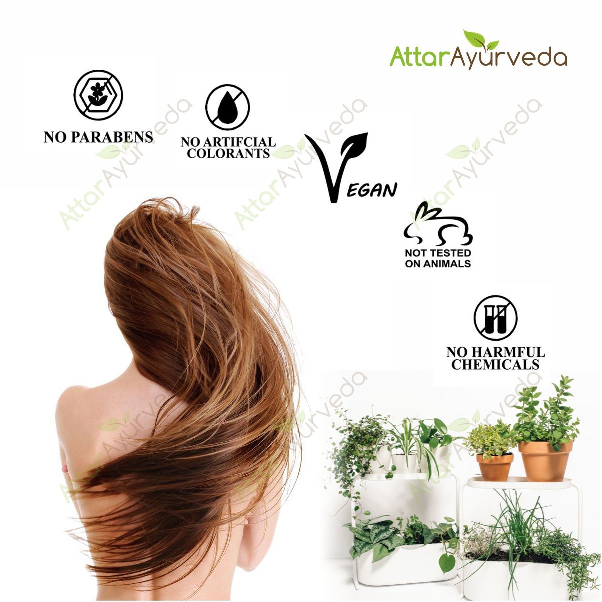 All in One Herbal Hair Care Pack - For all Hair problems - Attar Ayurveda