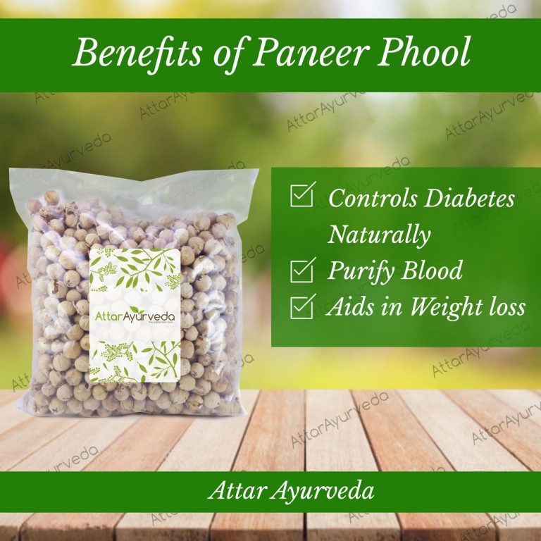 Buy Paneer Doda Paneer Phool Withania Coagulans Attar Ayurveda buy-paneer-doda-paneer-phool-withania-coagulans-attar-ayurveda