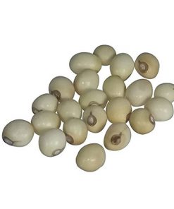 White Chirmity - Safed Gunja - Chirmi - Gumchi - Ratti Safed - Abrus Laevigatus