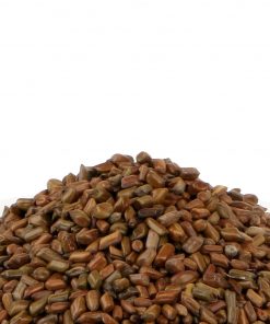 Pawad Seeds