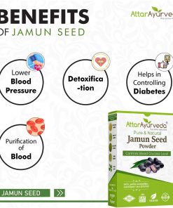 jamun seed powder
