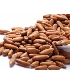 Shelled Pine Nuts | Chilgoza