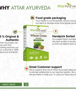 Wheat Grass