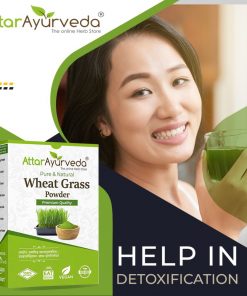 Wheat Grass