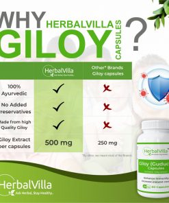 Herbalvilla Giloy capsules
