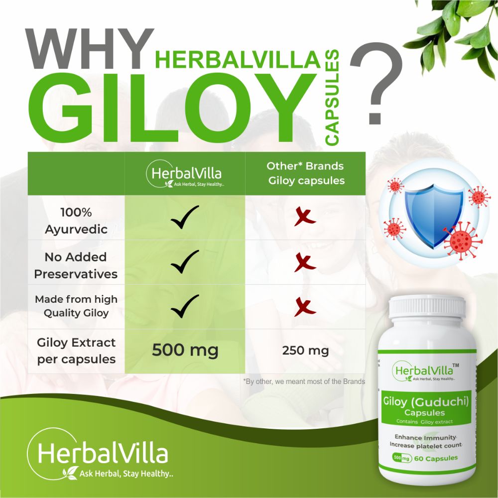 Herbalvilla Giloy capsules