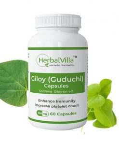 Herbalvilla Giloy Capsules 500 mg - Immunity Enhancer