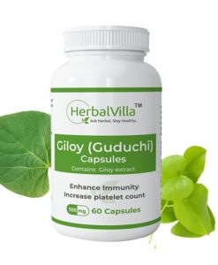 Herbalvilla Giloy Capsules 500 mg - Immunity Enhancer