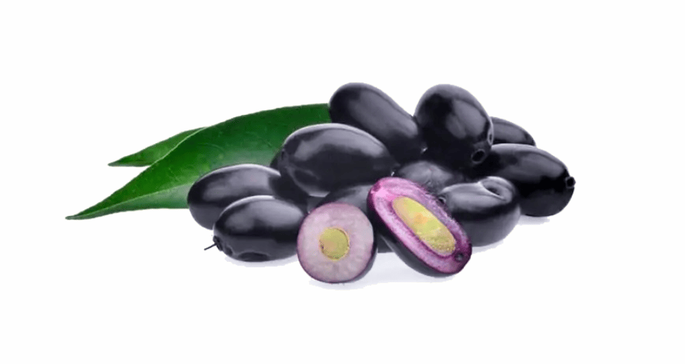 Jamun Seed Powder: Benefits, How to Use, and Precautions