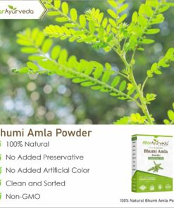Attar Ayurveda Bhumi Amla powder