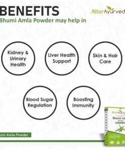 Attar Ayurveda Bhumi Amla powder