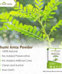 Bhumi Amla powder - Phyllanthus Niruri
