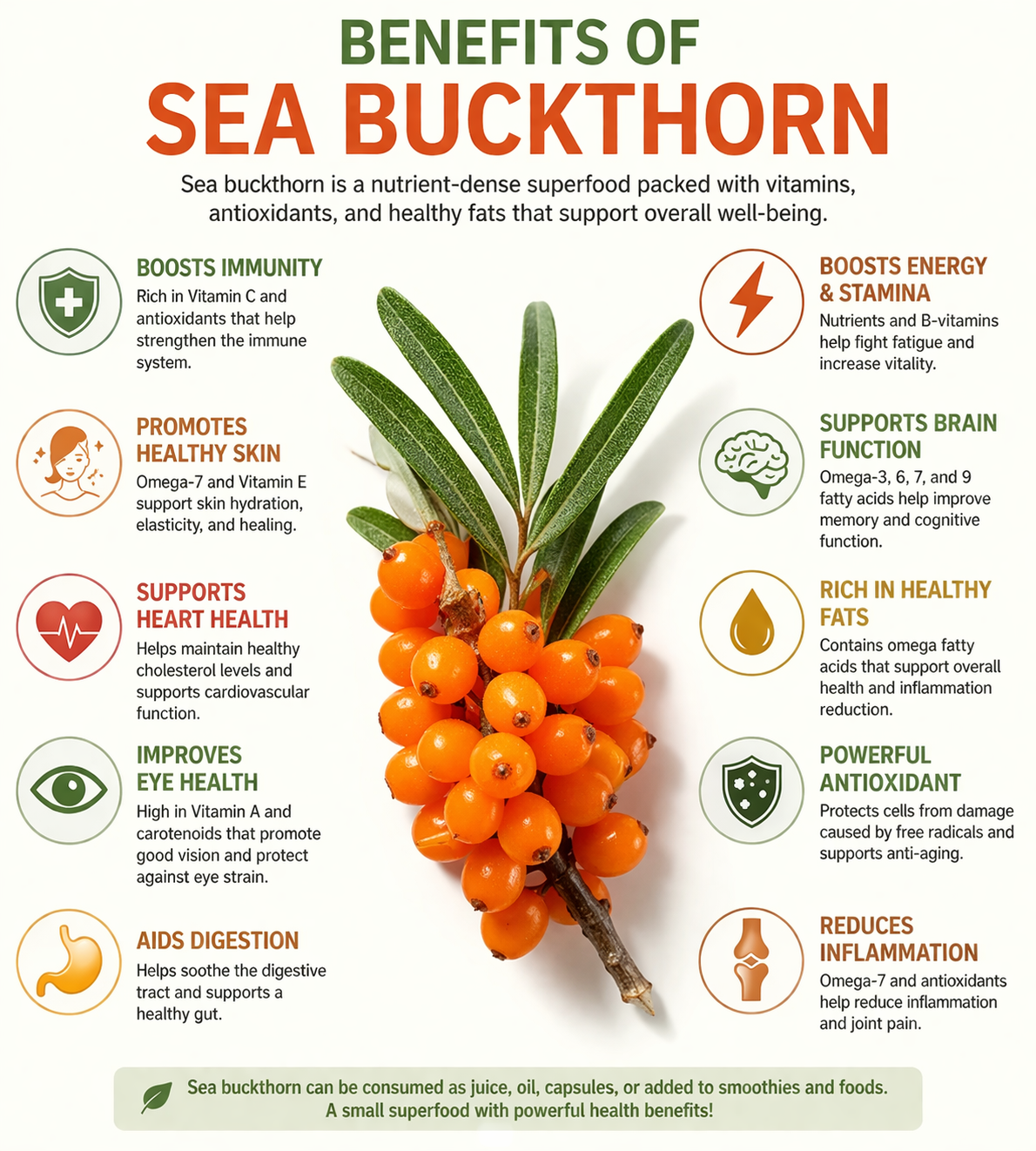 Himalayan Sea Buckthorn Berry (Sun-dried), Unsweetened Raw & Unprocessed - Image 2